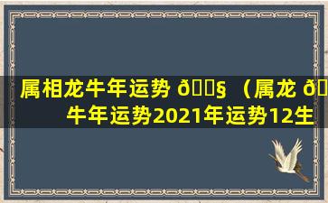 属相龙牛年运势 🐧 （属龙 🪴 牛年运势2021年运势12生肖运势）